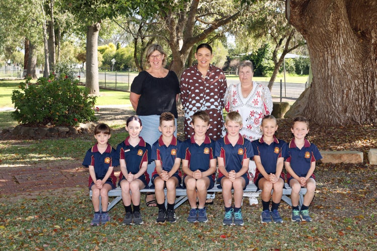 The School Photographer's image of the staff and students of Yetman Public School under the camphor laurel tree.