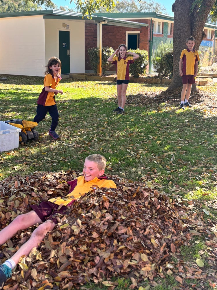 An image of four students playing in a pile of leaves in the school grounds.